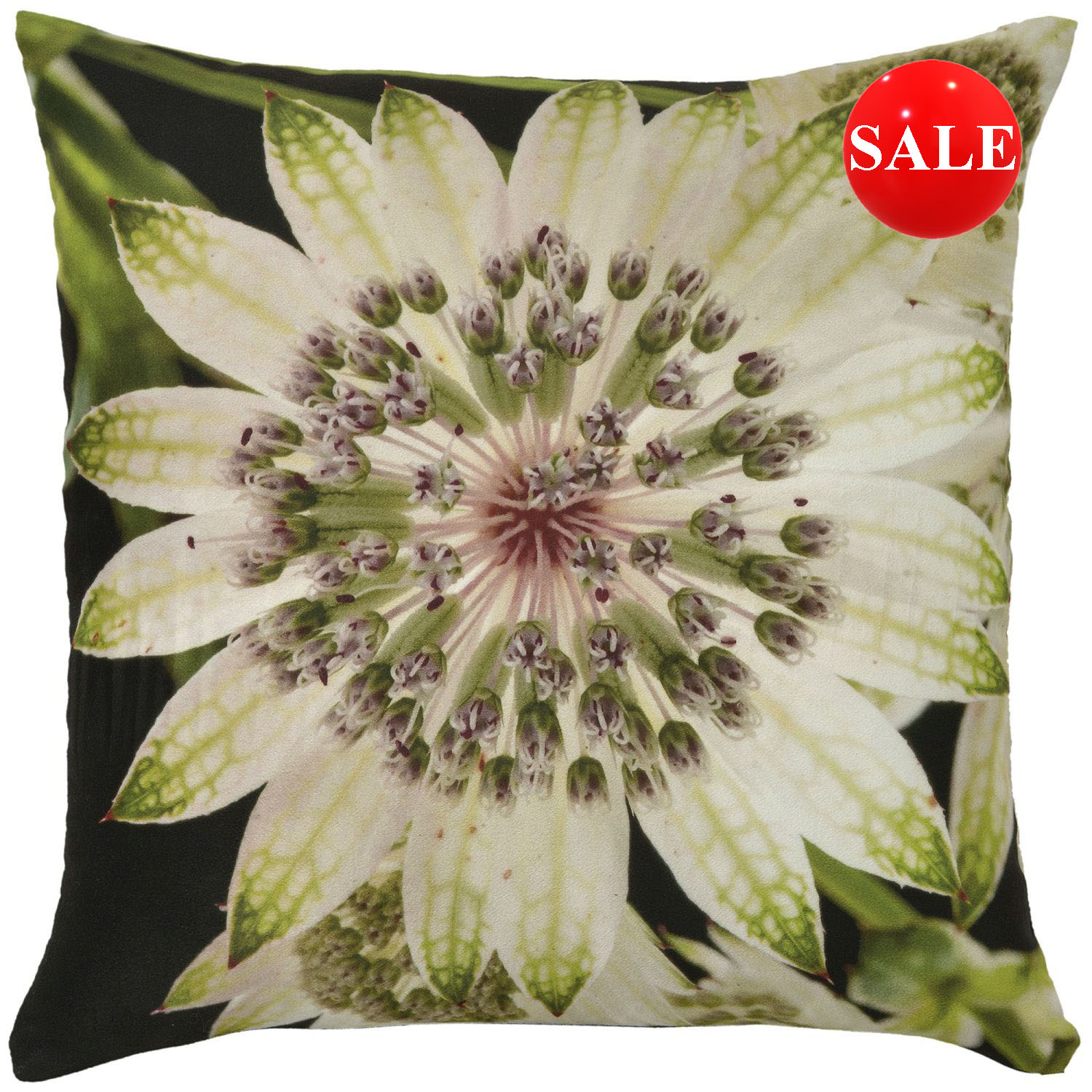 Passion Flower Velvet Cushion