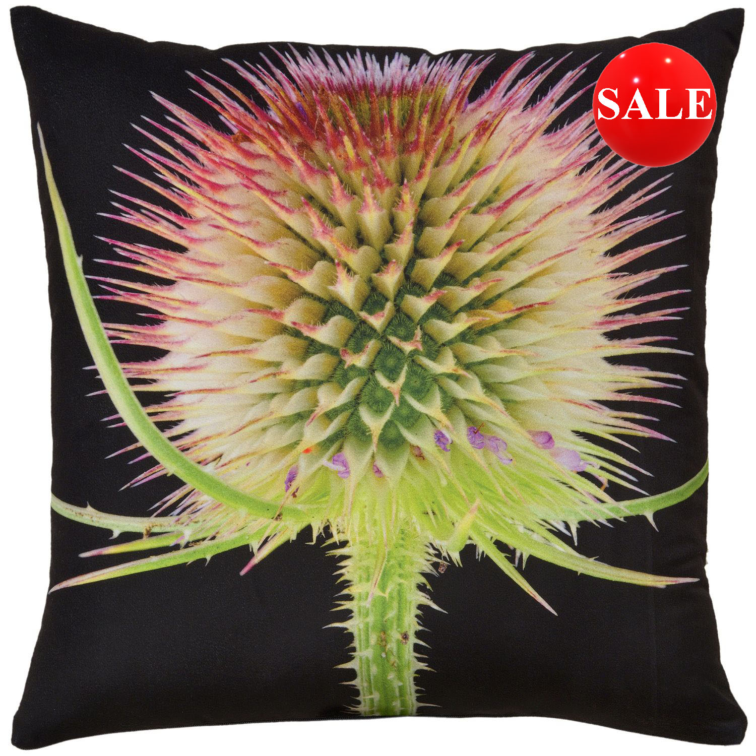 Scotch Thistle Velvet Cushion